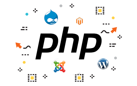 PHP Web Development Delhi NCR