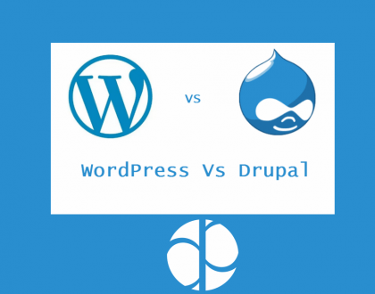 choice of WordPress or Drupal CMS for business website